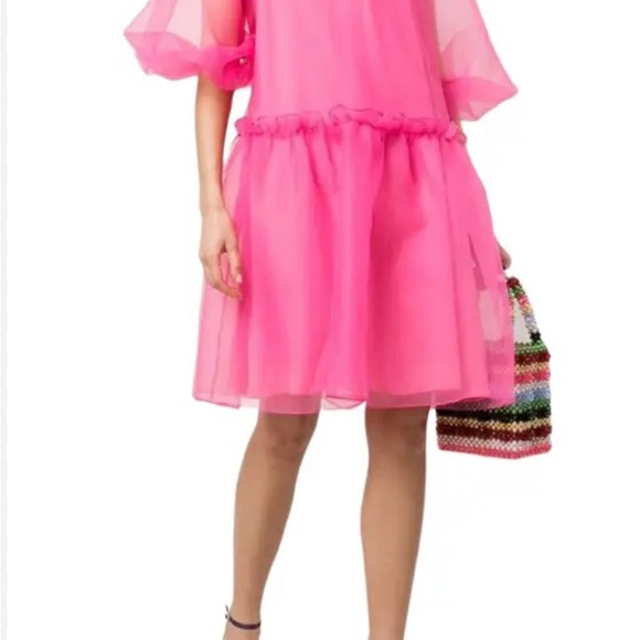 Cynthia Rowley Tullulah pink dress size L - Picture 5 of 5